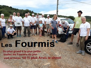 1esFourmis