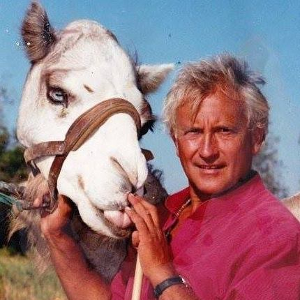 486167545_2234284416986140_3593343492874438035_n