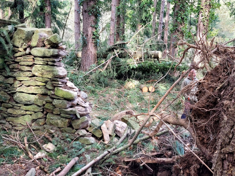 IMG-20260221-WA0020